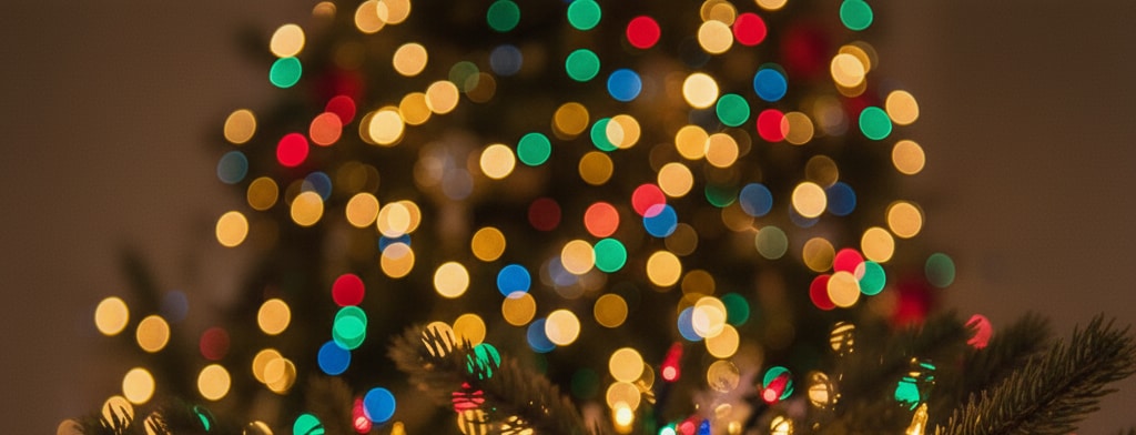 bokeh christmas lights Santa Rosa