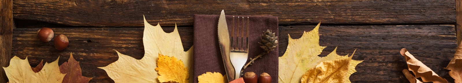 Thanksgiving Events Santa Rosa